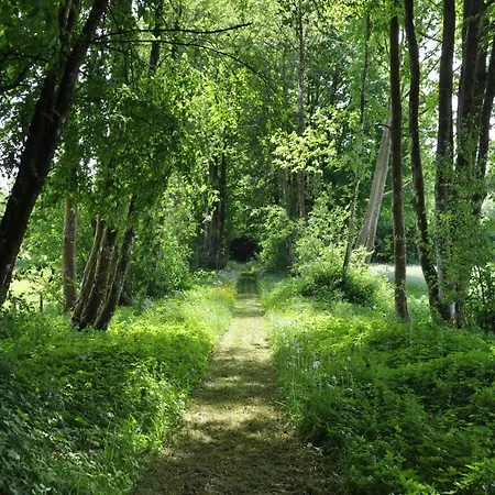 Petit Chateau De Beauplateau سينت اوده