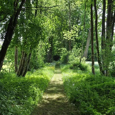 Petit Chateau De Beauplateau Sainte-Ode