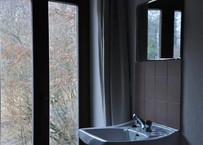 Petit Château De Beauplateau Hébergement de vacances *