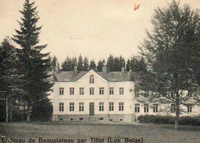 Petit Château De Beauplateau Hébergement de vacances *